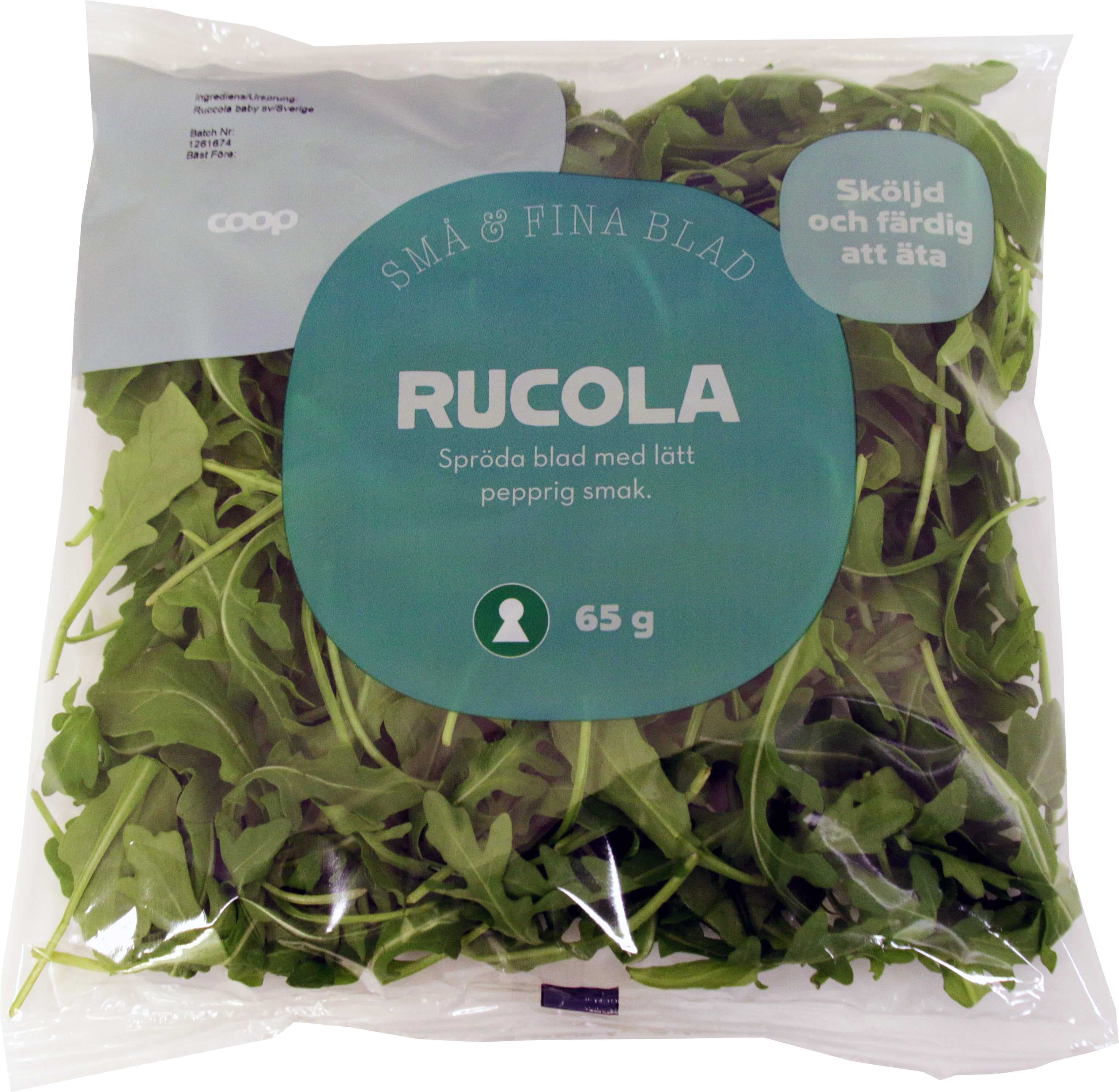 Rucola