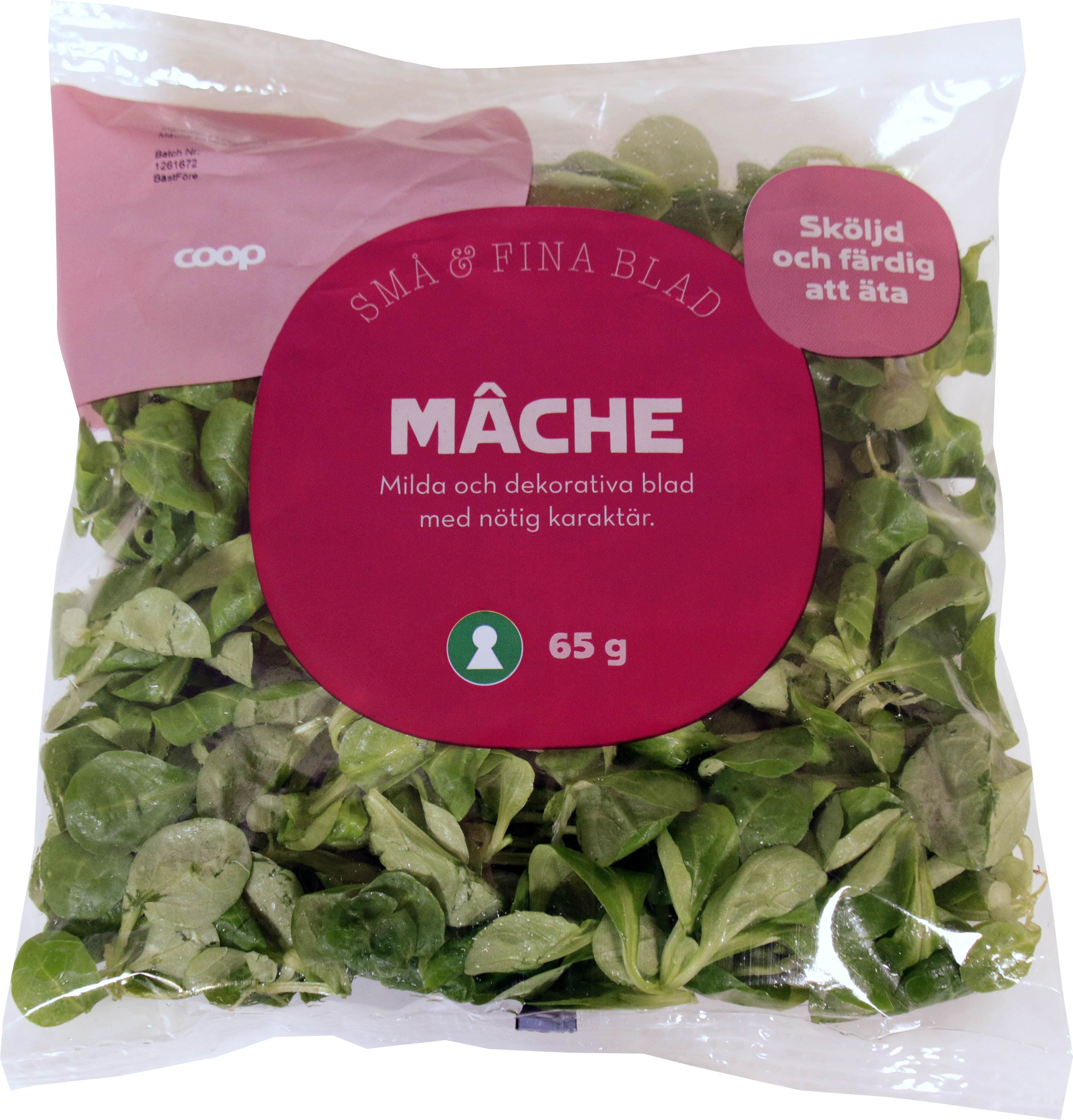Mâche