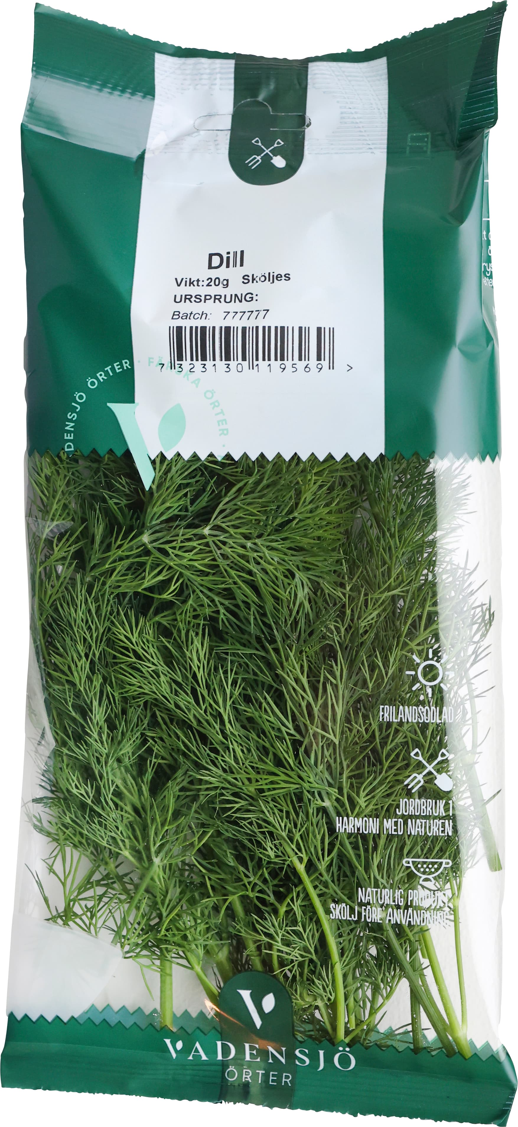 Dill