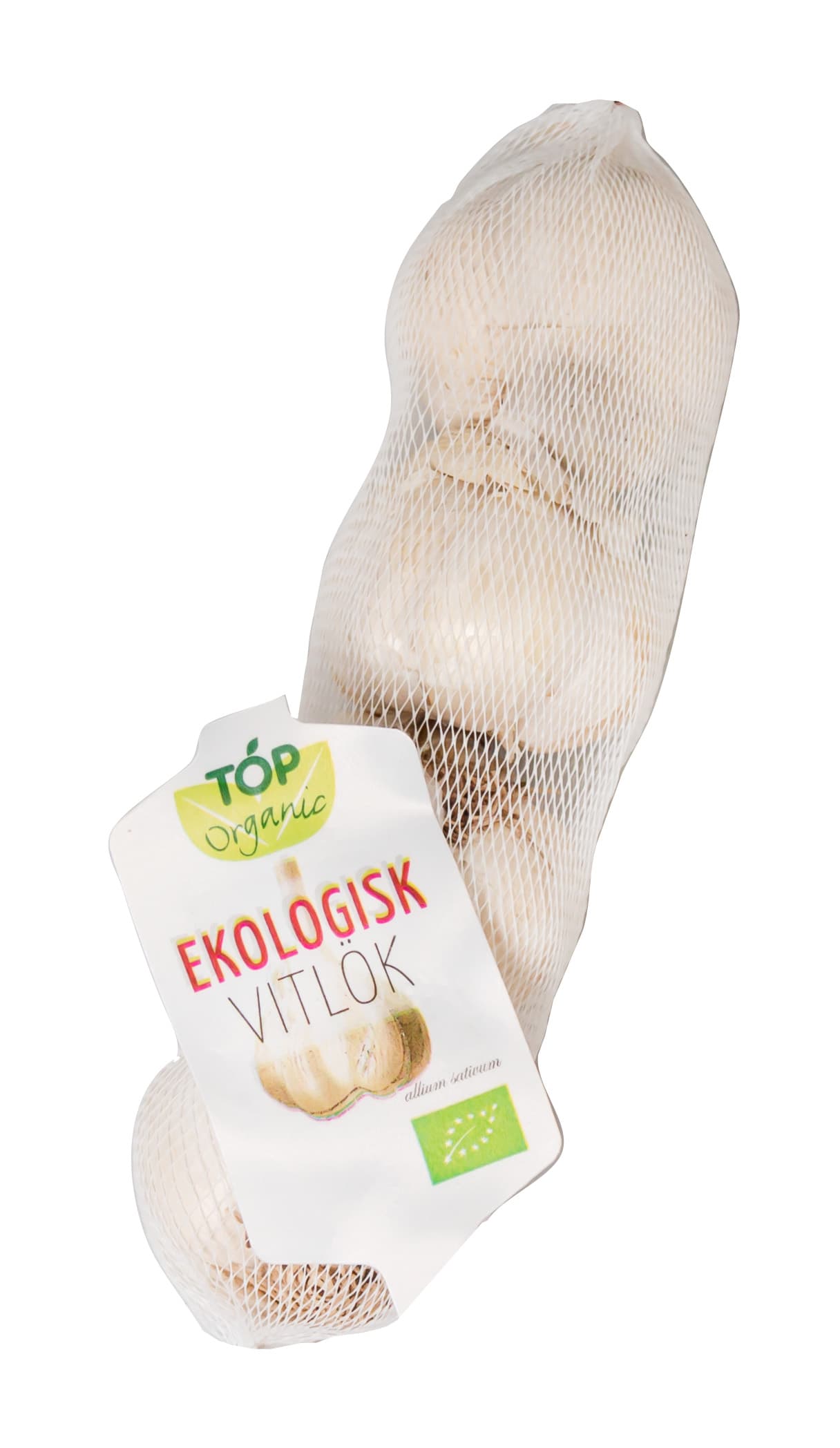 Vitlök
