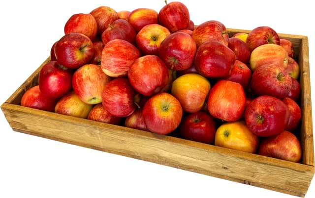 Äpple Royal Gala Fruktlåda