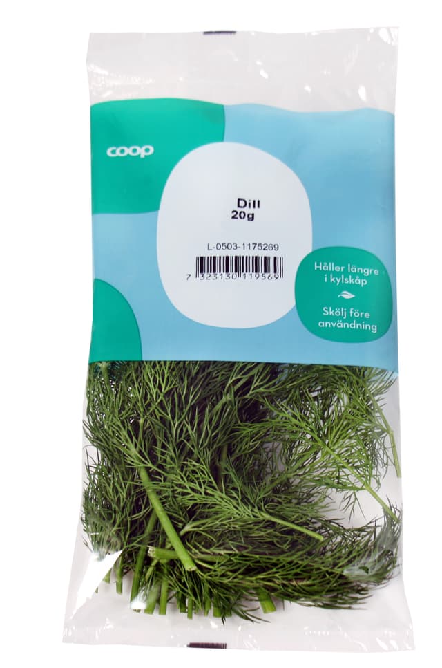 Dill