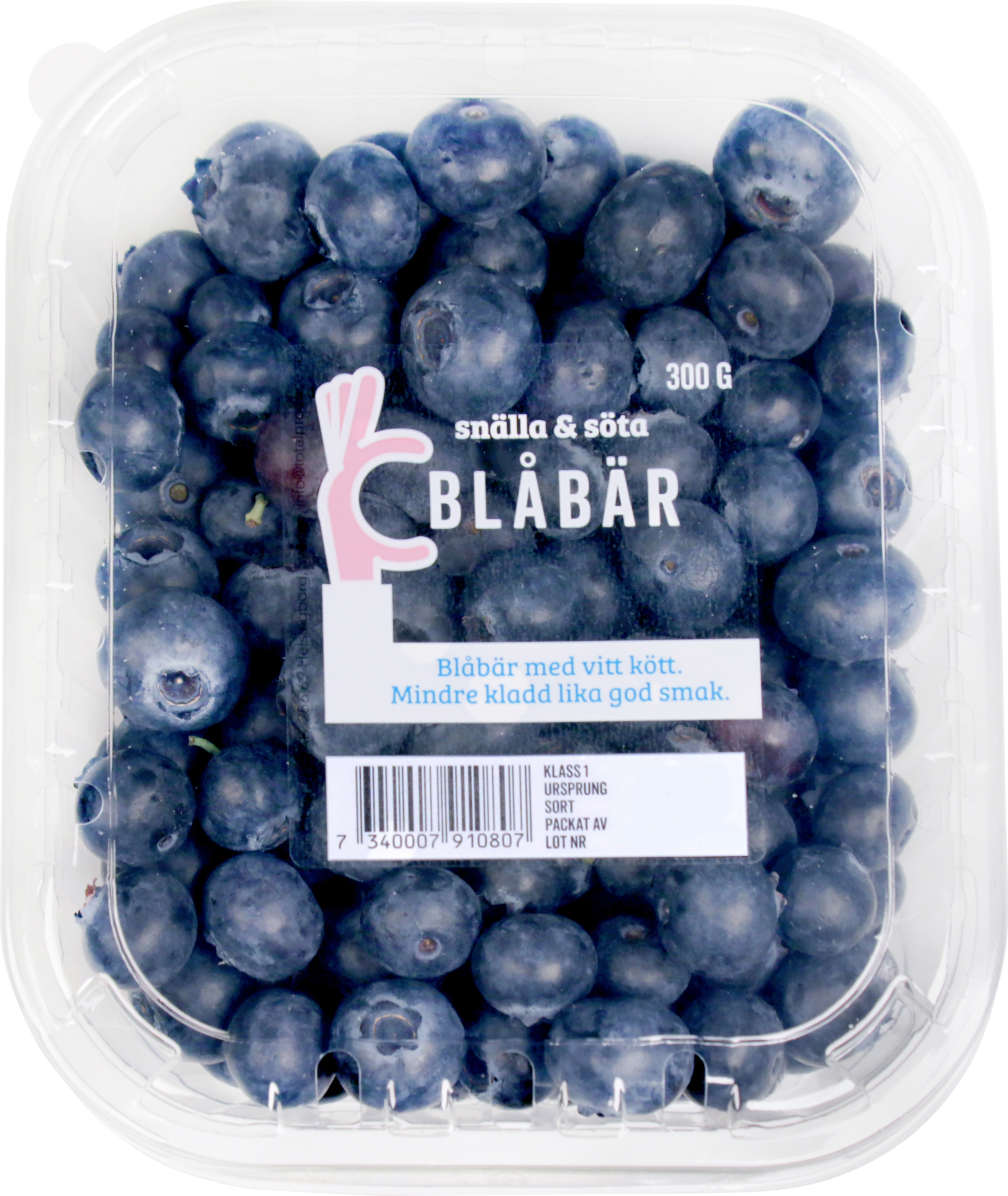 Blåbär