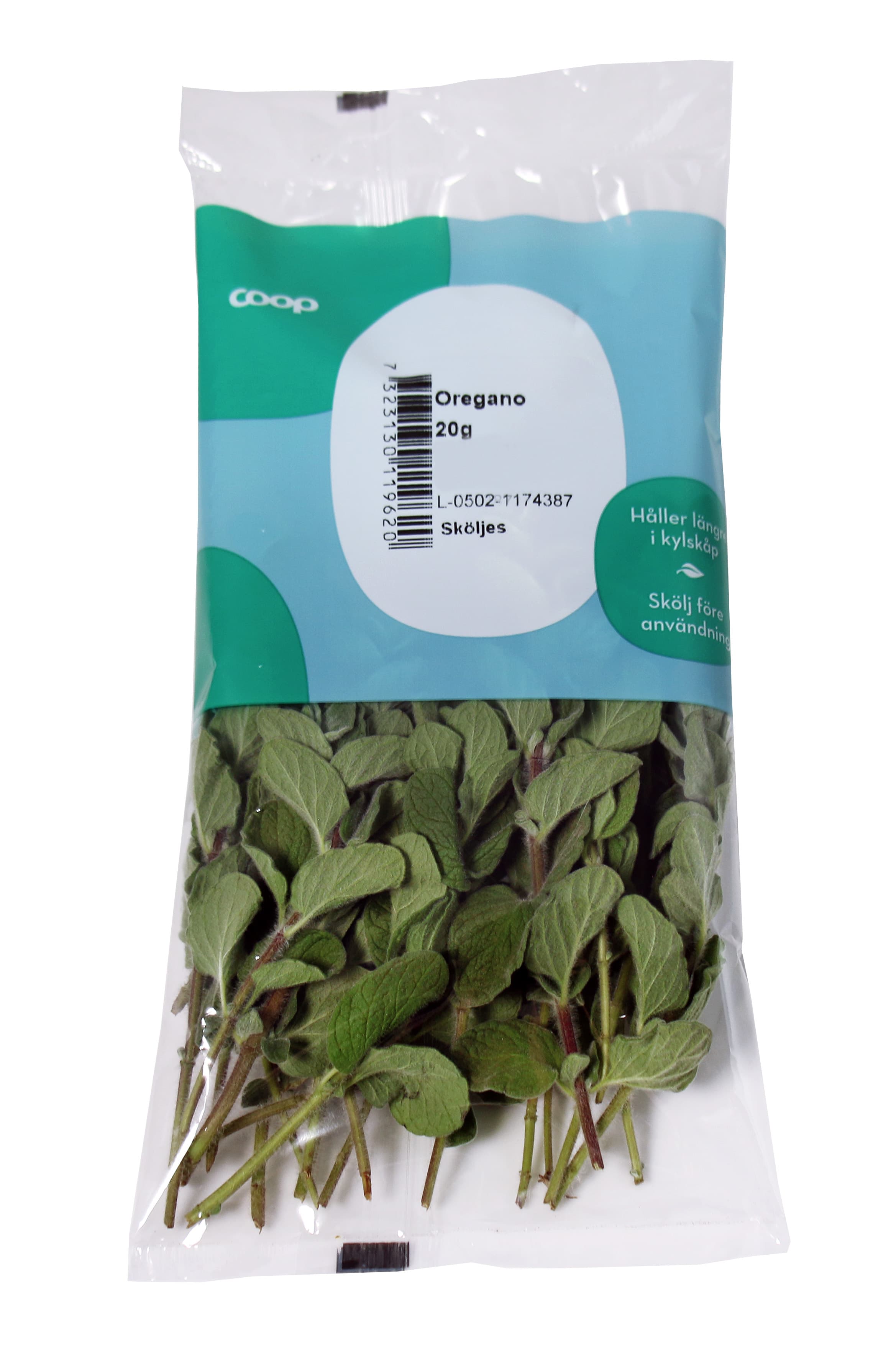 Oregano