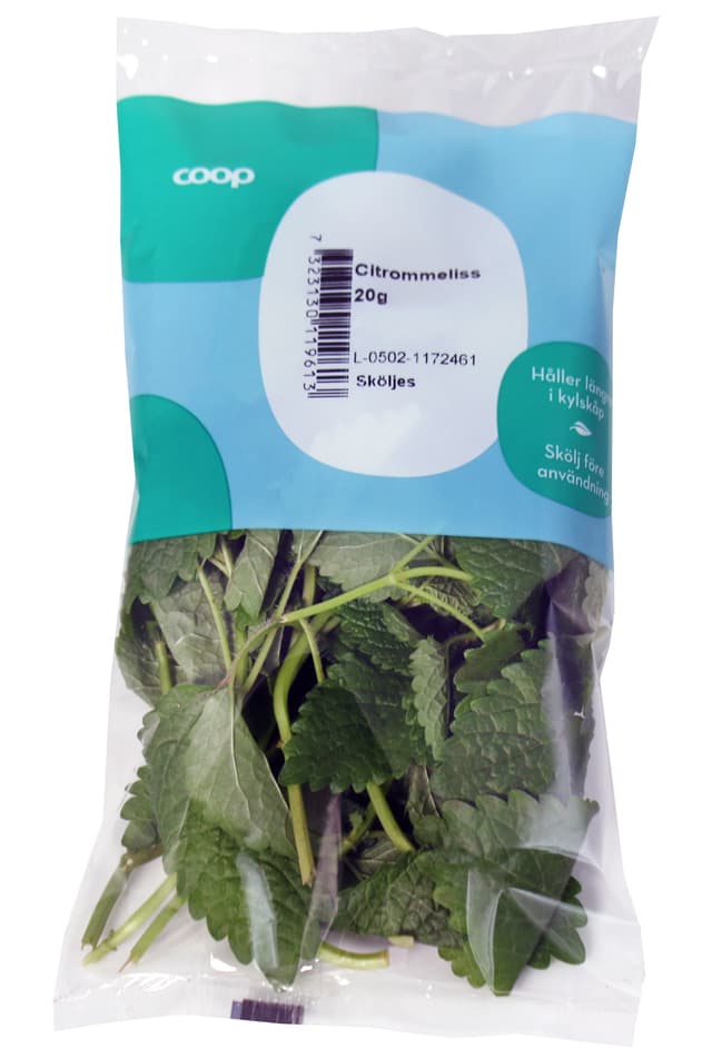 Citronmeliss