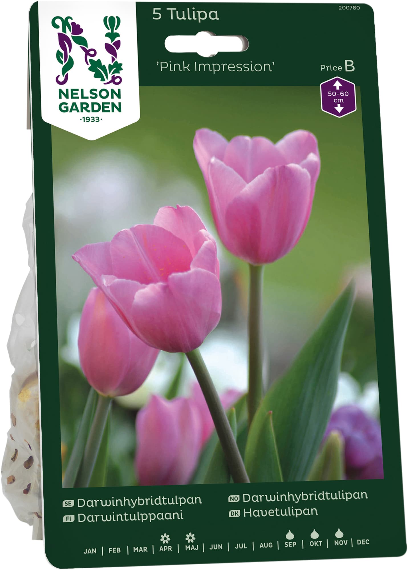 Höstlök Darwinhybridtulpan Pink Impression