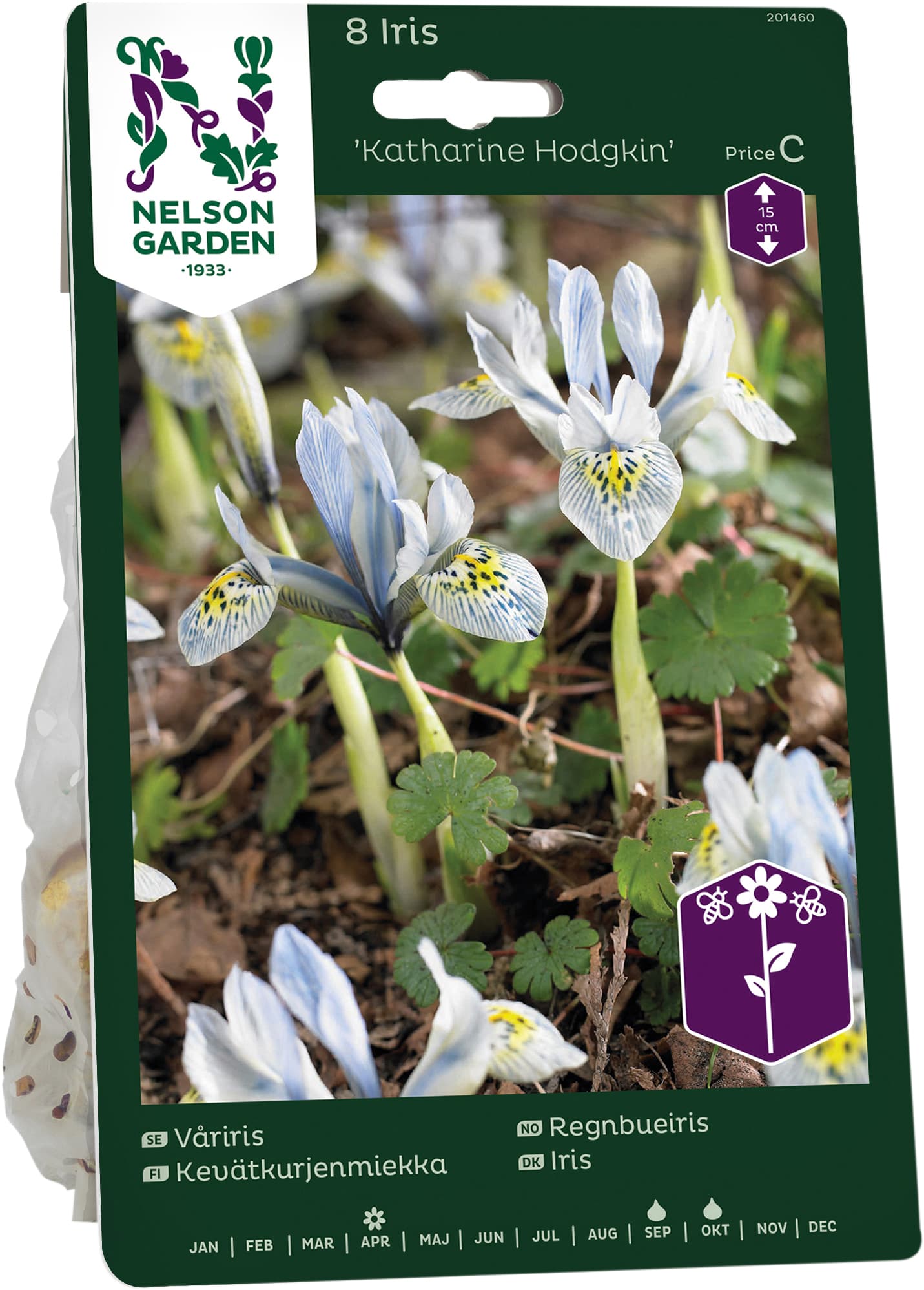 Höstlök Våriris Katharine Hodgkin