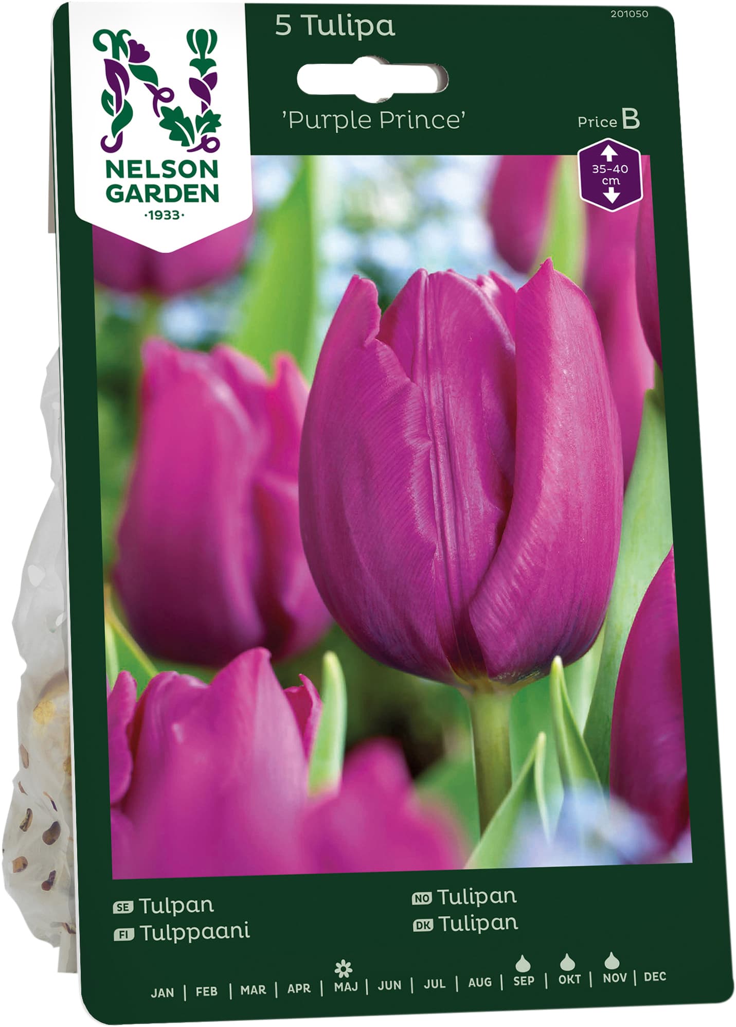Höstlök Tulpan Purple Prince