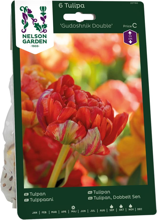 Höstlök Tulpan Gudoshnik Double