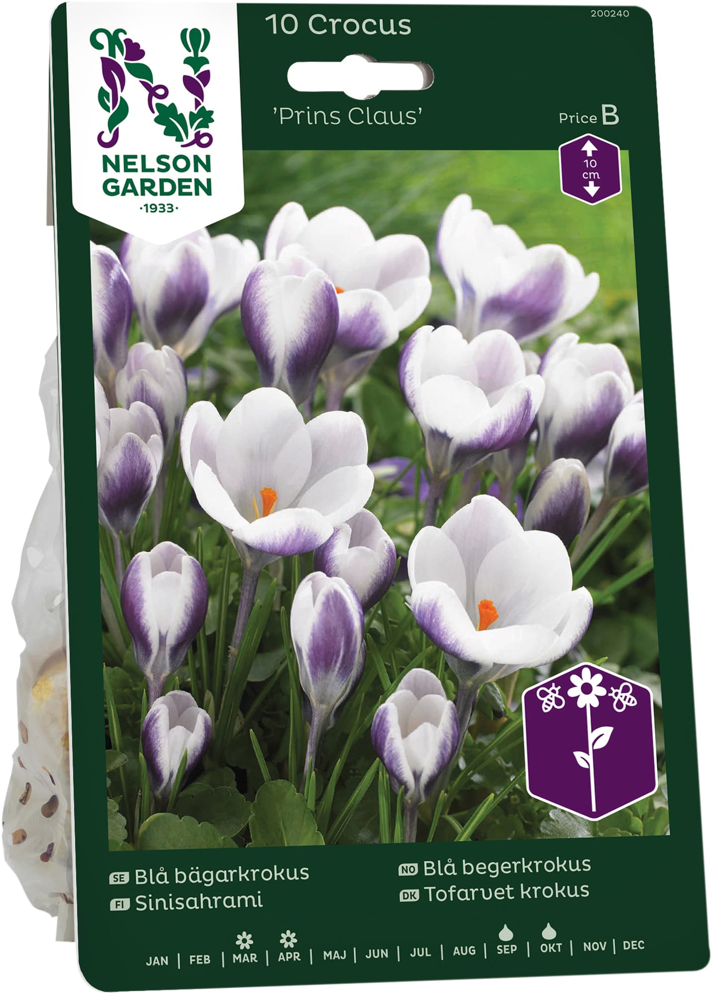 Höstlök Blå bägarkrokus
