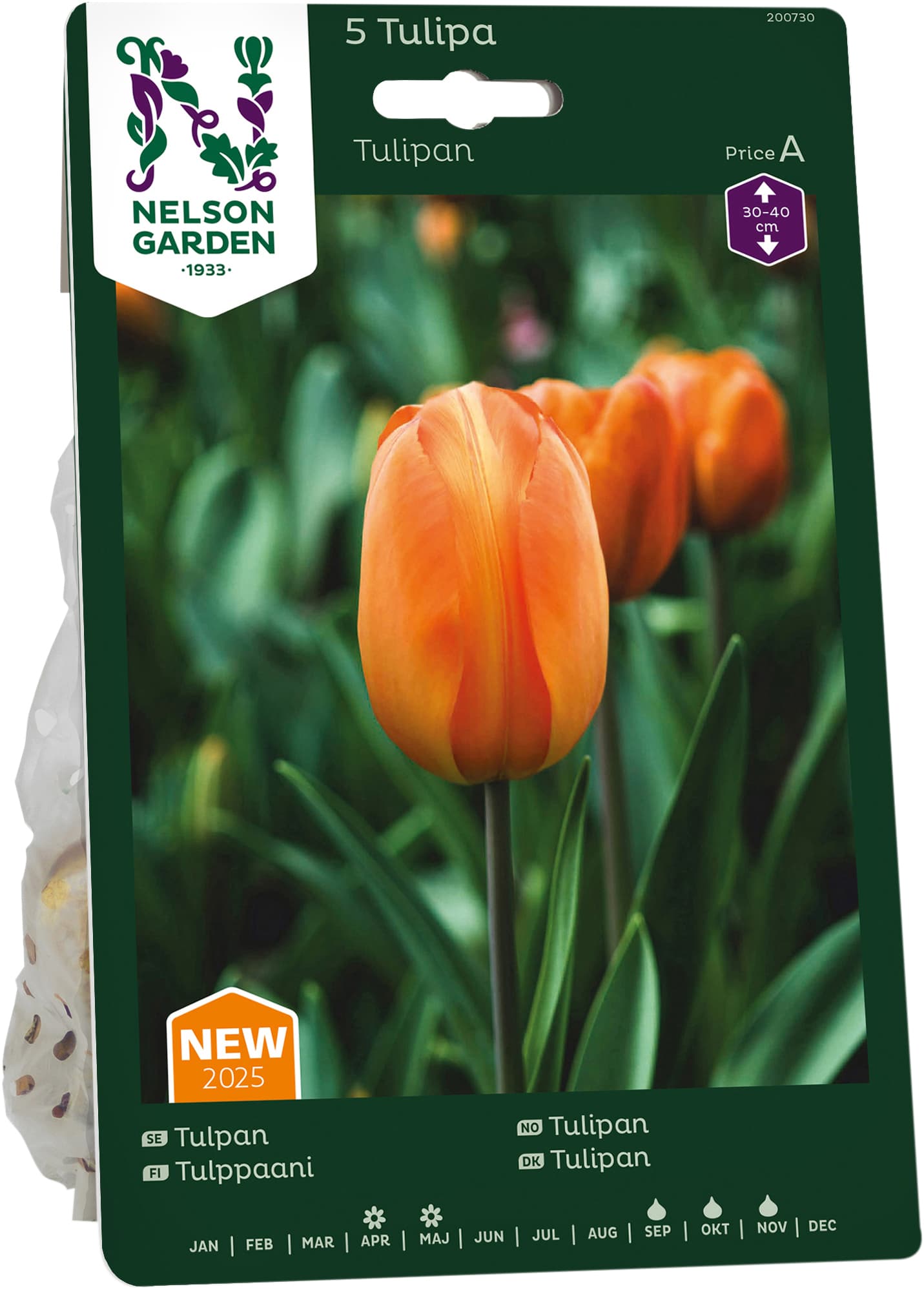 Höstlök Tulpan Orange