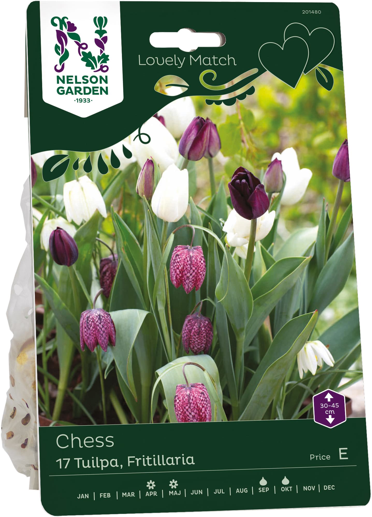 Höstlök Tulpan Fritillaria Lovely match