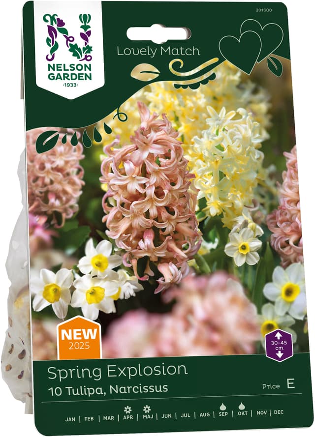 Höstlök Tulpan & narcissus Spring Explosion