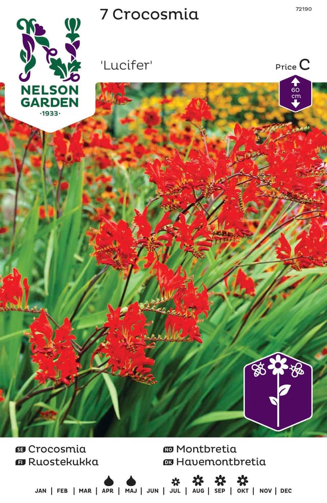 Vårlök Crocosmia Rödorange