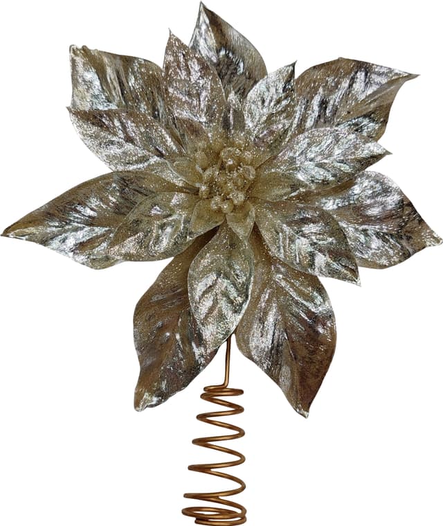 Toppstjärna amaryllis champagne