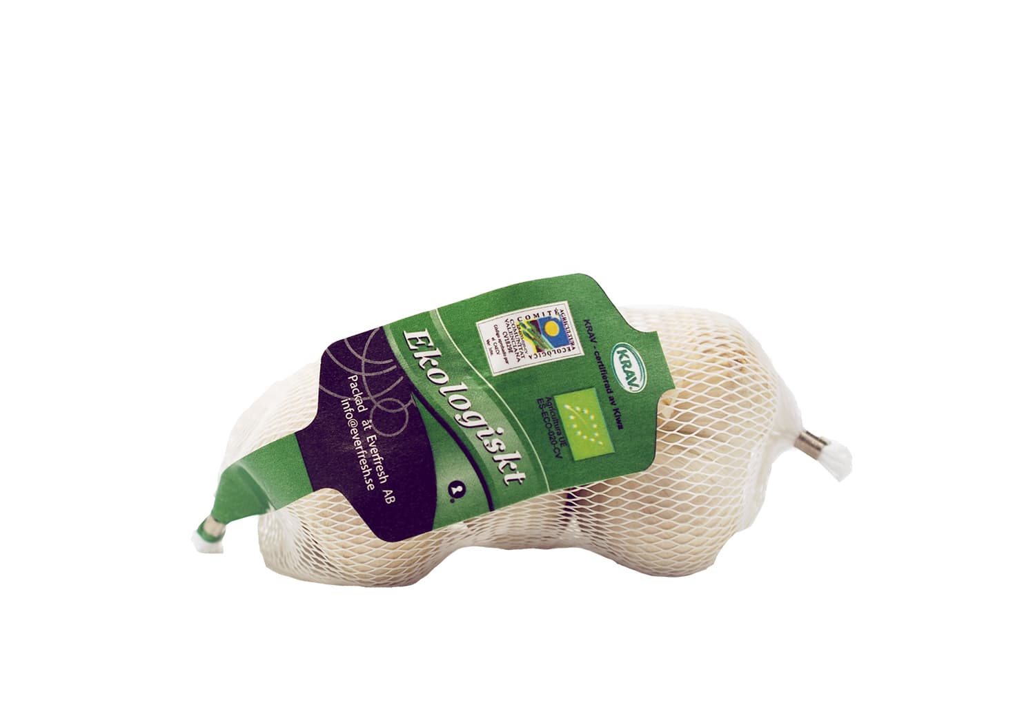 Vitlök