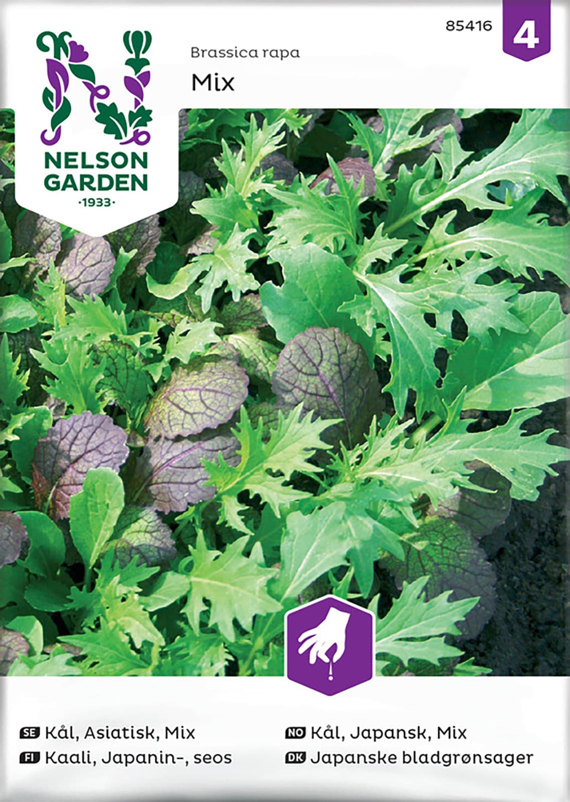 Fröer Kål Asiatisk