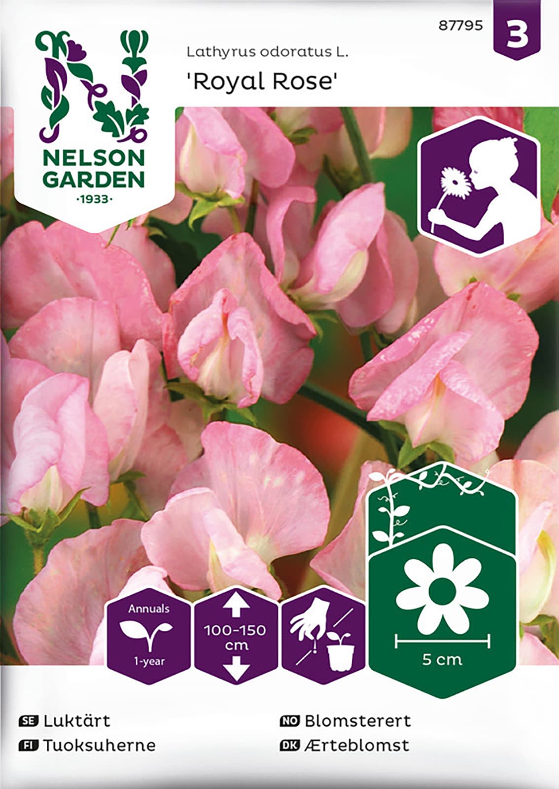 Fröer Luktärt Rosa