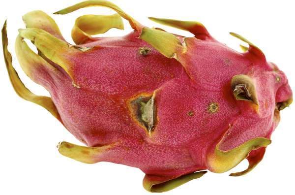 Pitahaya Röd Klass 1
