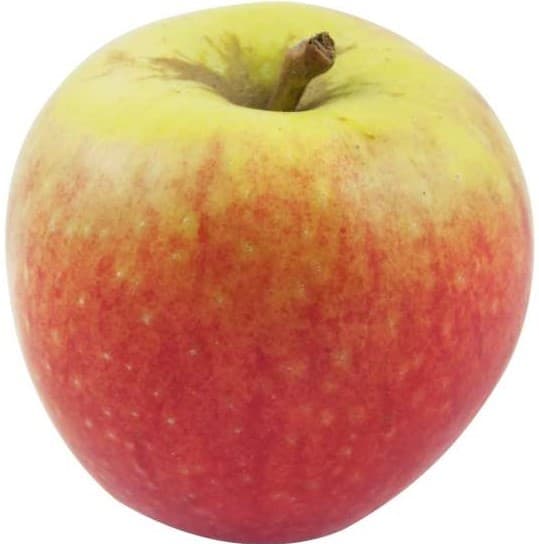 Äpple Frida