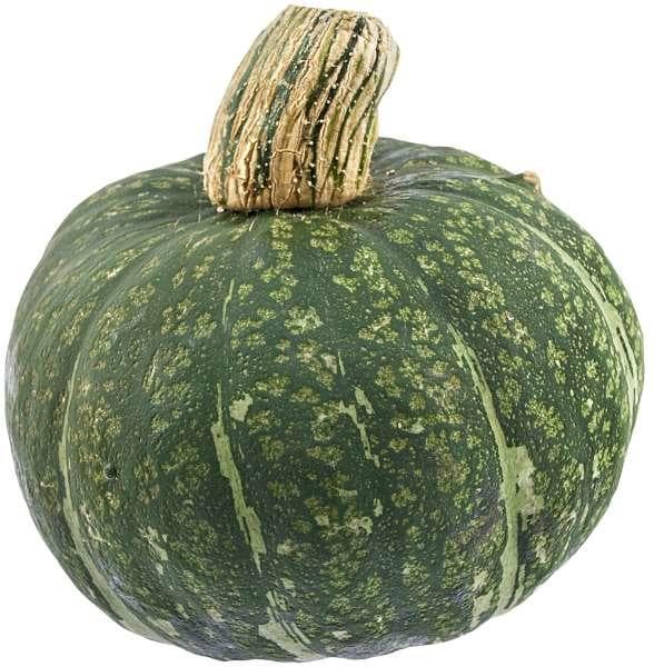 Matpumpa Mix