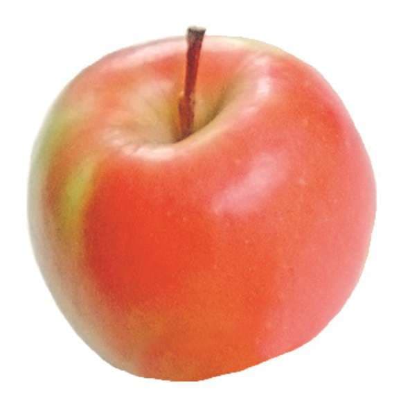 Äpplen Pink Lady Eko Klass 1