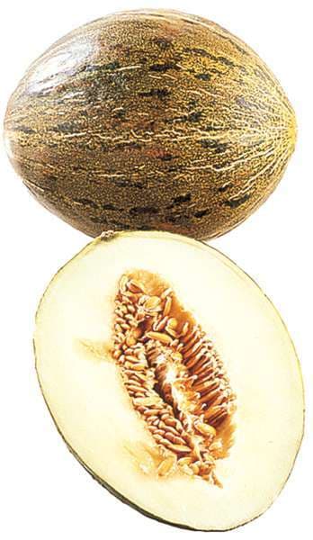 Melon Piel De Sapo