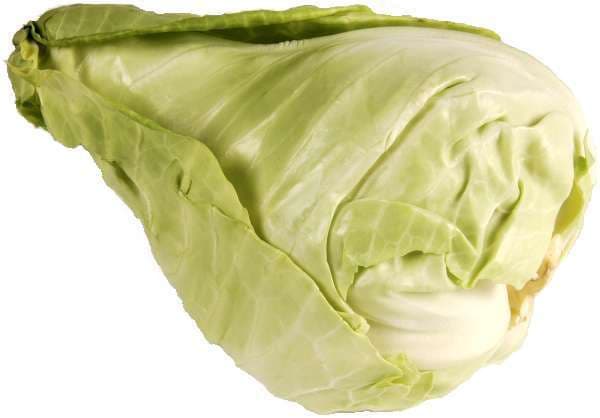 Spetskål
