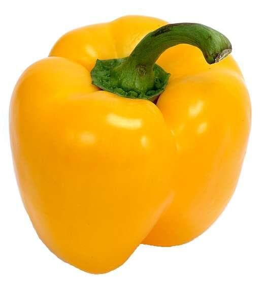 Paprika Gul