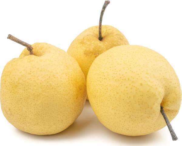 Päron Nashi