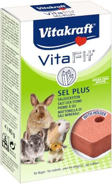 Salt/Mineralsten Rund Med Hållare