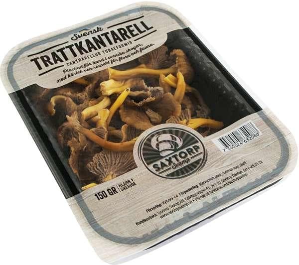 Kantarell