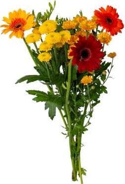 Blandbukett Mixade Färger