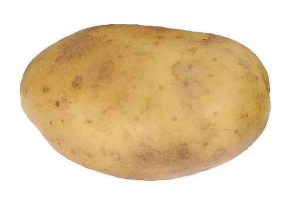 Potatis Fast