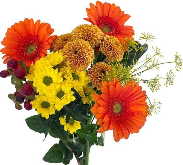 Blandbukett Orange