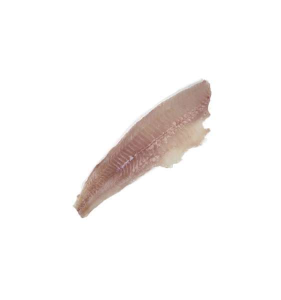 Lubbfilé