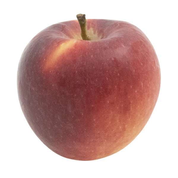 Äpple Giga 2 Lag