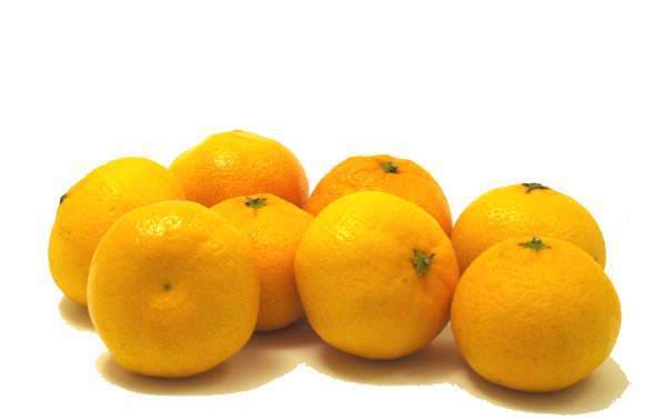 Satsumas