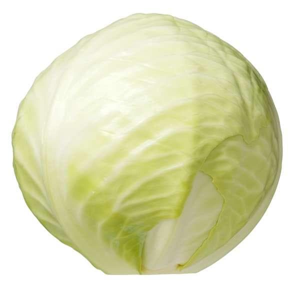 Vitkål Sverige