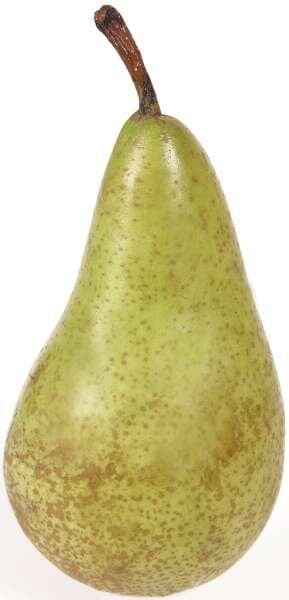 Päron Clara Friis