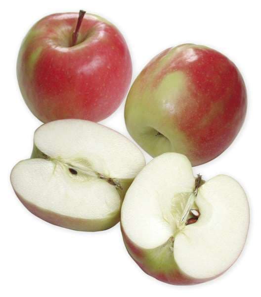 Äpplen Rubinstar
