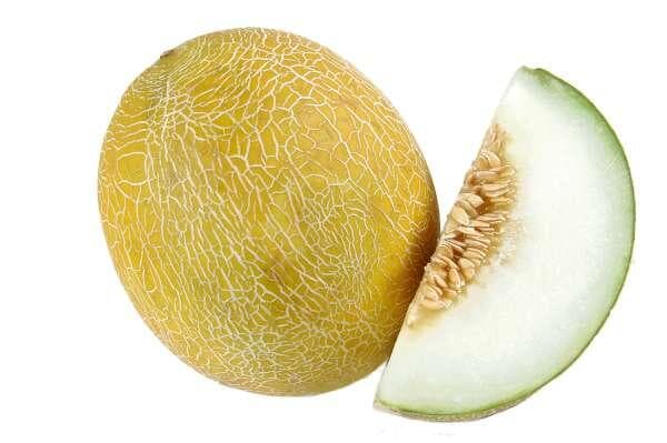 Melon Galia