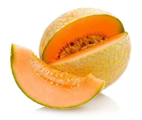 Melon Cantaloupe