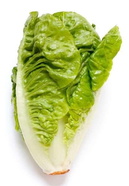 Isbergssallat