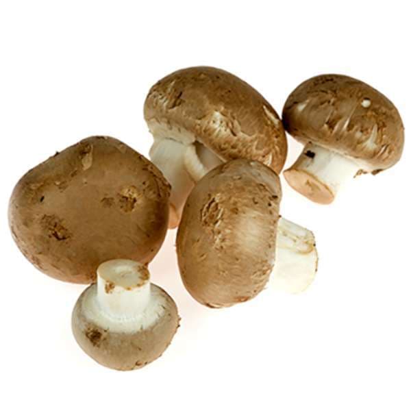 Skogschampinjoner