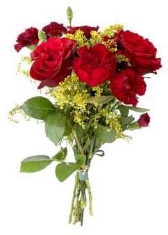 Blandbukett Rosor/Nejlika