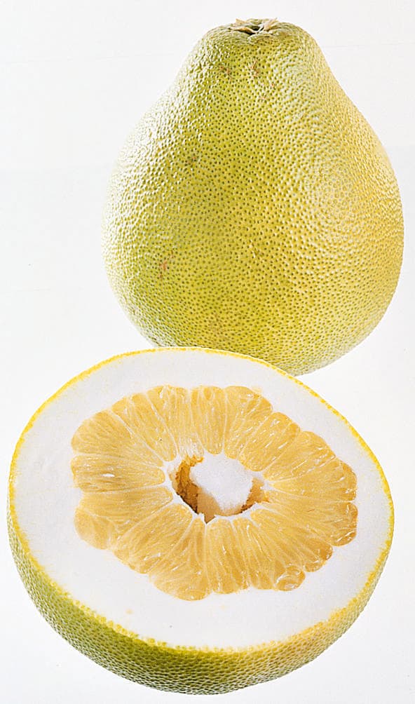Honungspomelo