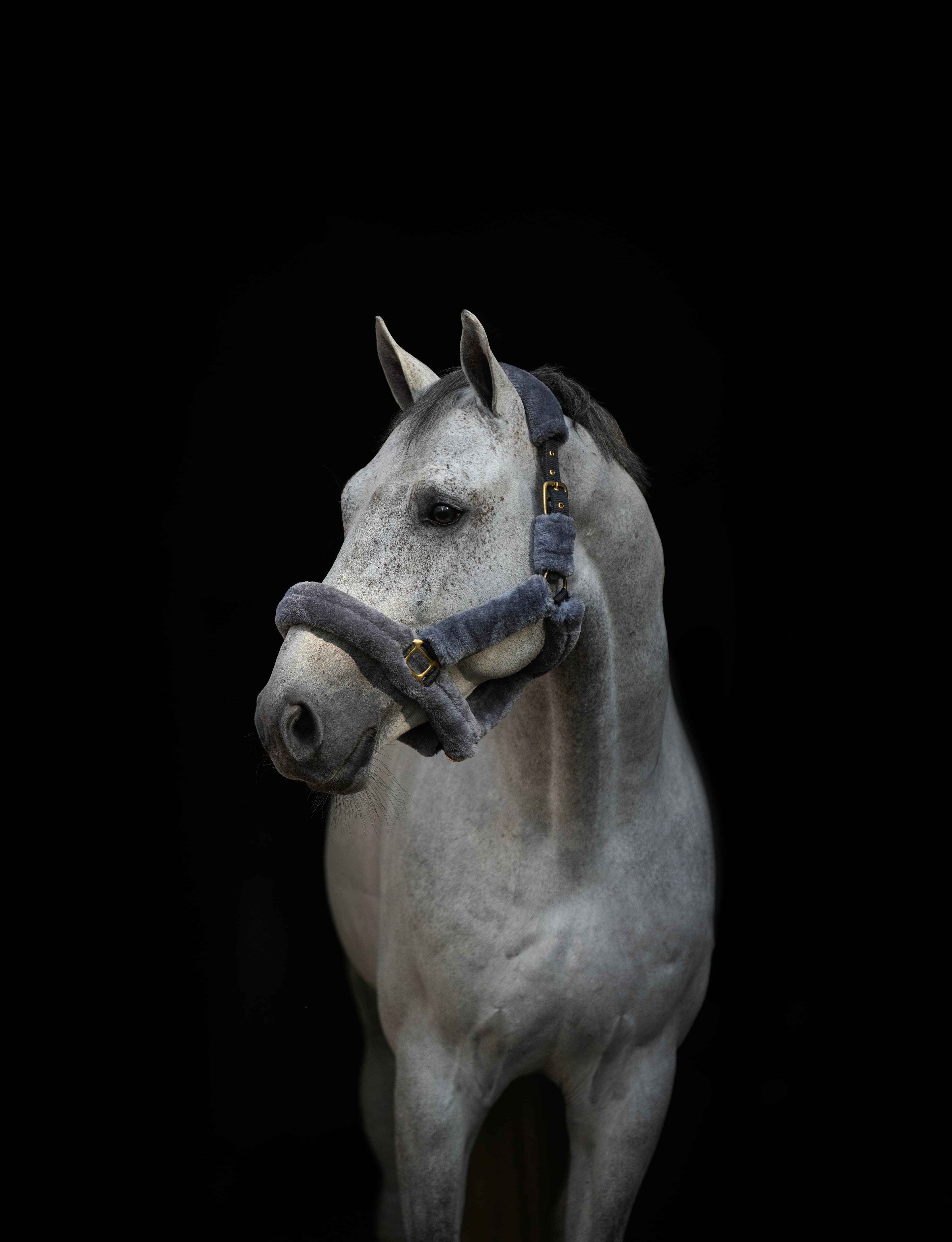 Grimma Faux Fur Grå Strl Cob