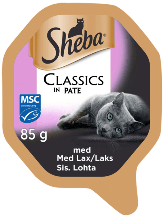 Kattmat Paté Lax