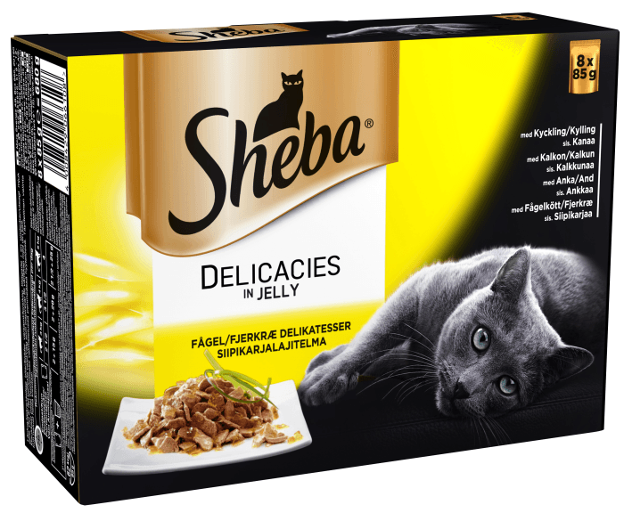 Kattmat Fågel